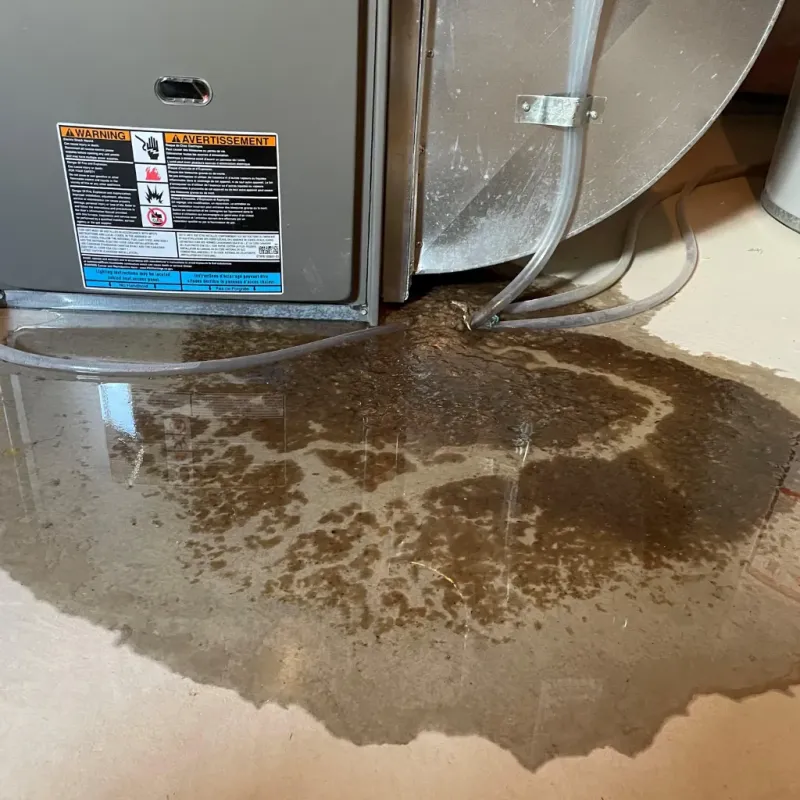 Appliance Leak Cleanup in Hill Country Village, TX